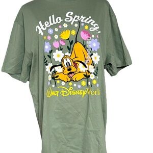 2025 Disney Parks “Hello Spring” Walt Disney world, floral, graphic design, Plu